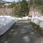 ５月９日　菅沼までの歩道
