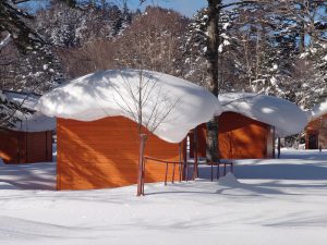 １月８日　菅沼キャンプ村