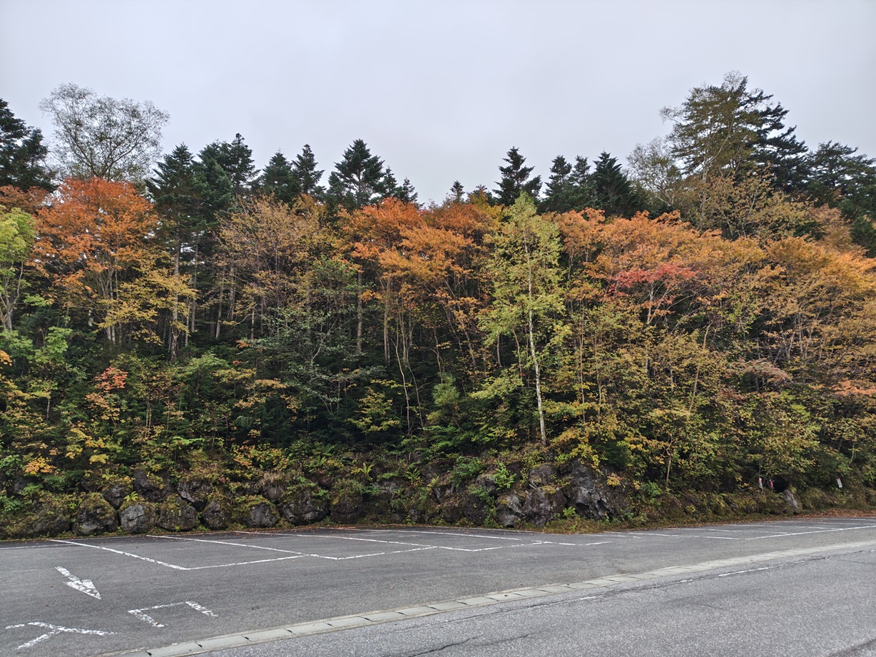 菅沼キャンプ村